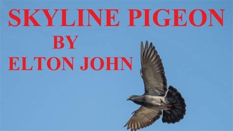 skyline pigeon - elton john skyline pigeon